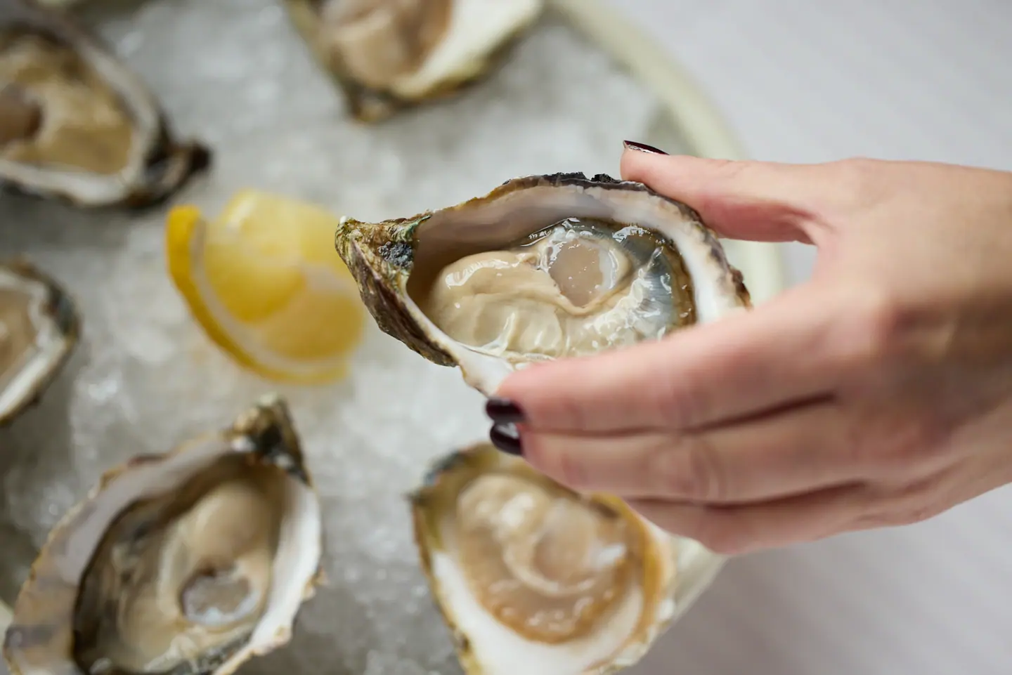 Verse oesters op ijs